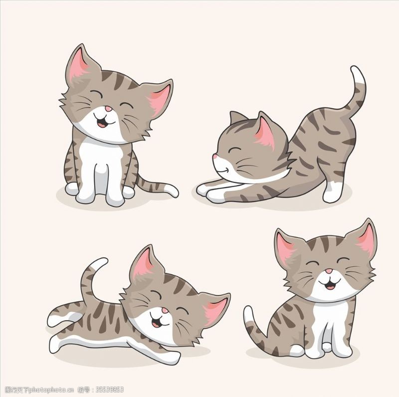 小猫插画