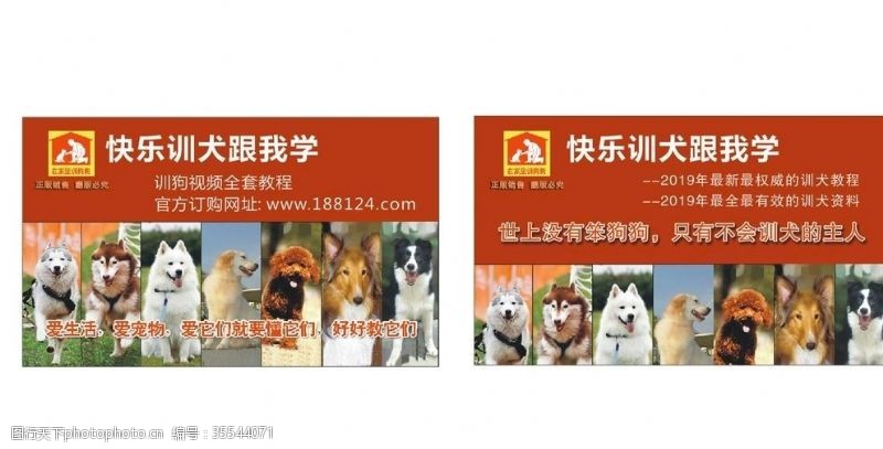 宠物卡片训犬宠物名片