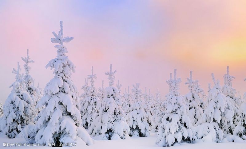 卡通景观树木雪景背景