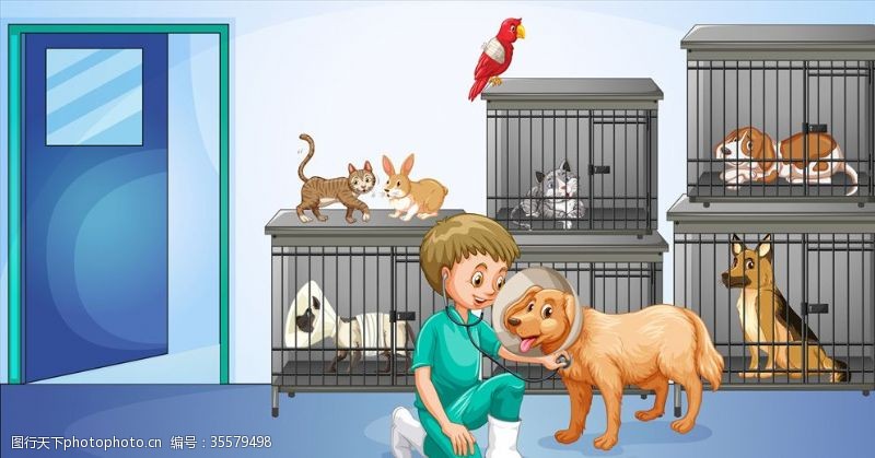 宠物护理卡通宠物医生