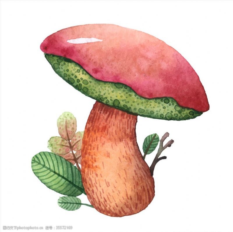情动果园蘑菇插画