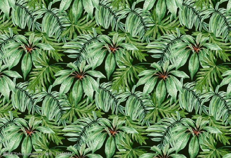 热带雨林植物绿色芭蕉叶背景墙