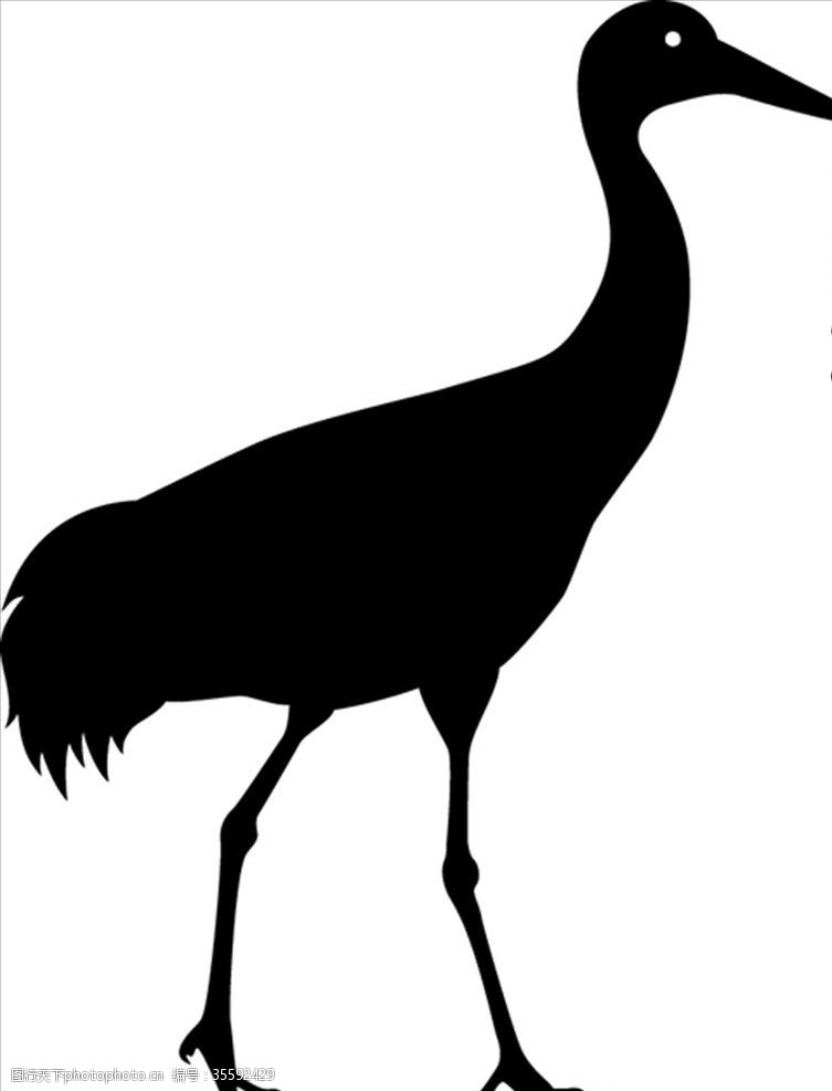 黑颈鹤野生动物系列鹤剪影