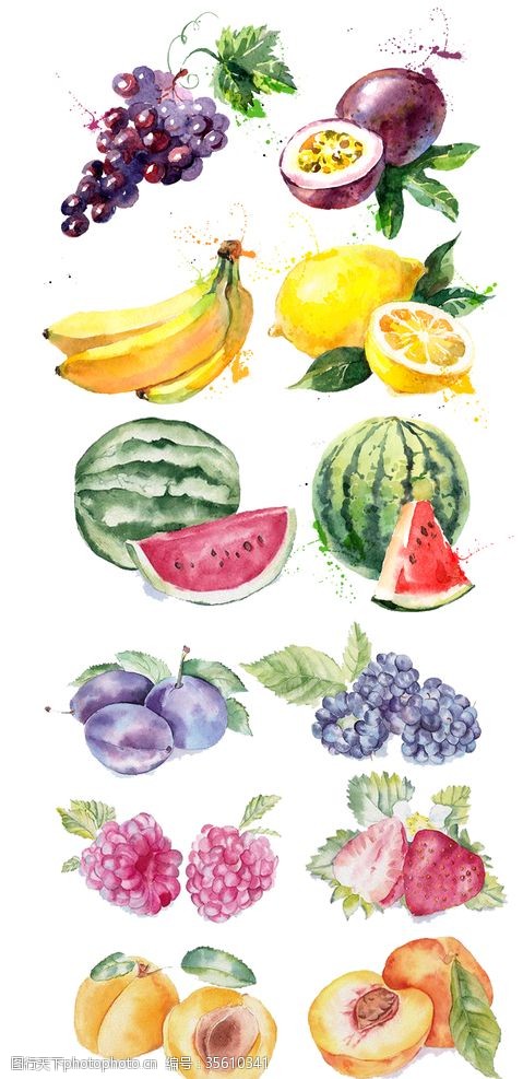 水果宣传手册水果贴纸