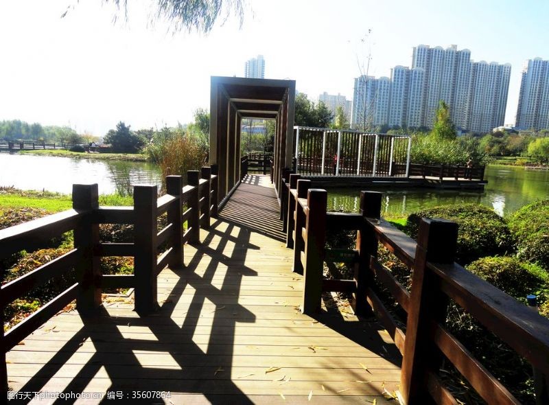城市湿地水上木桥