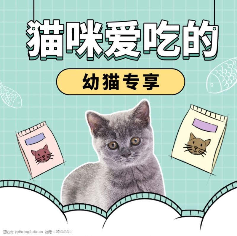 宠物店海报猫粮