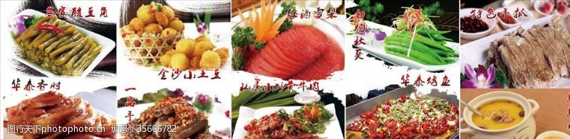 鱼肉灯箱片菜品图