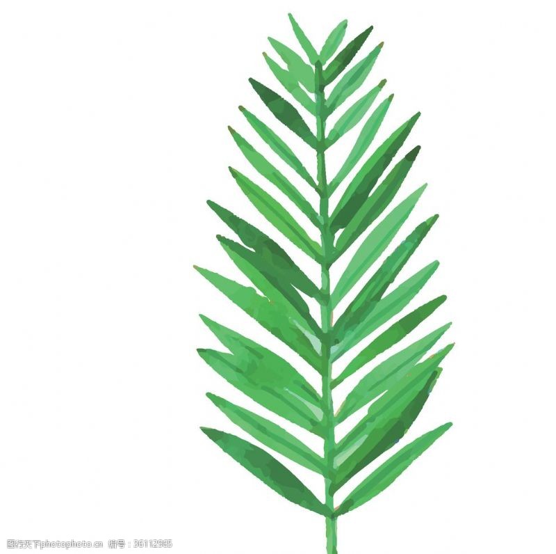 涂鸦绿色水彩植物树叶