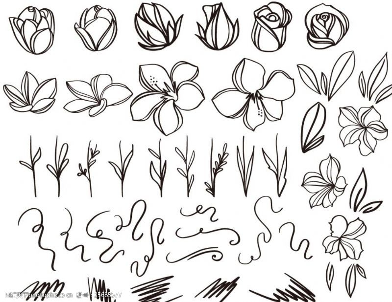 可爱分割线白描花苞花卉线稿