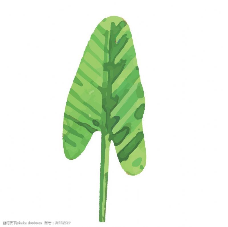 涂鸦绿色水彩植物树叶