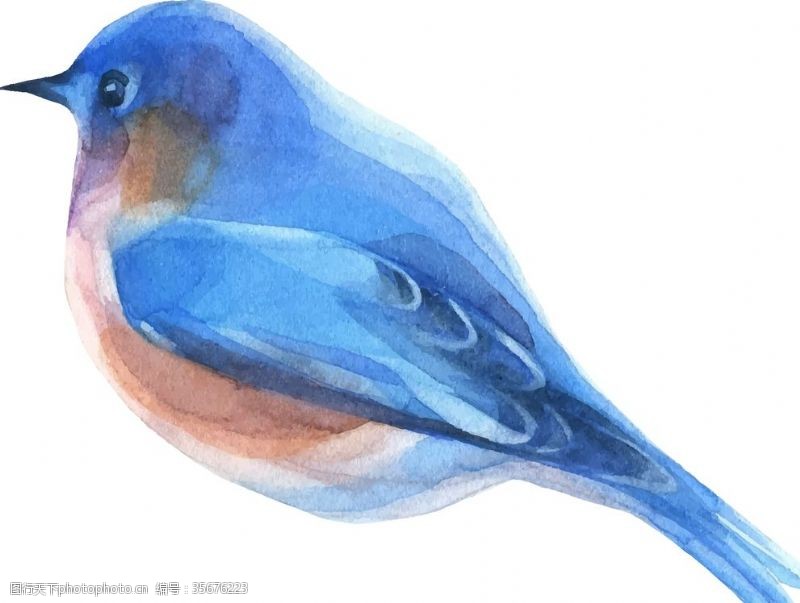 幸福蓝鸟水彩绘画小鸟
