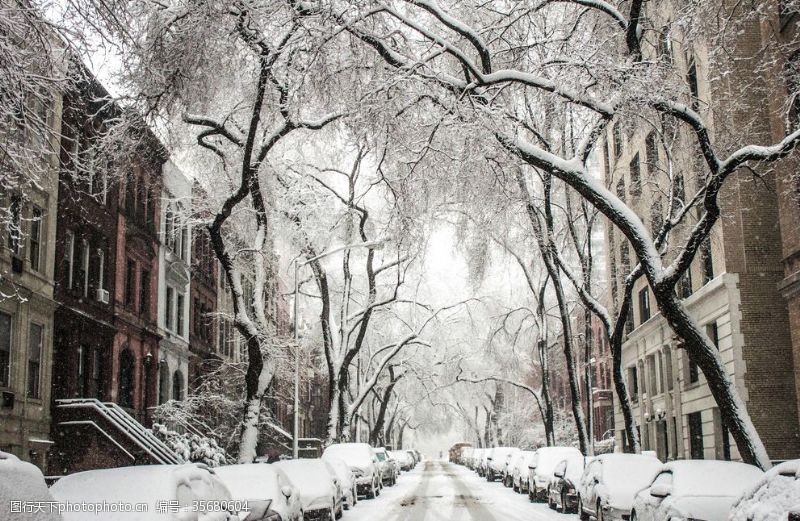 下雪的圣诞节背景图片免费下载 下雪的圣诞节背景素材 下雪的圣诞节背景模板 图行天下素材网