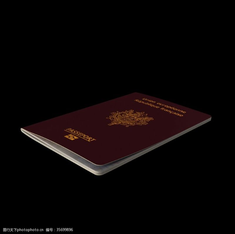 出国旅游度假图标护照