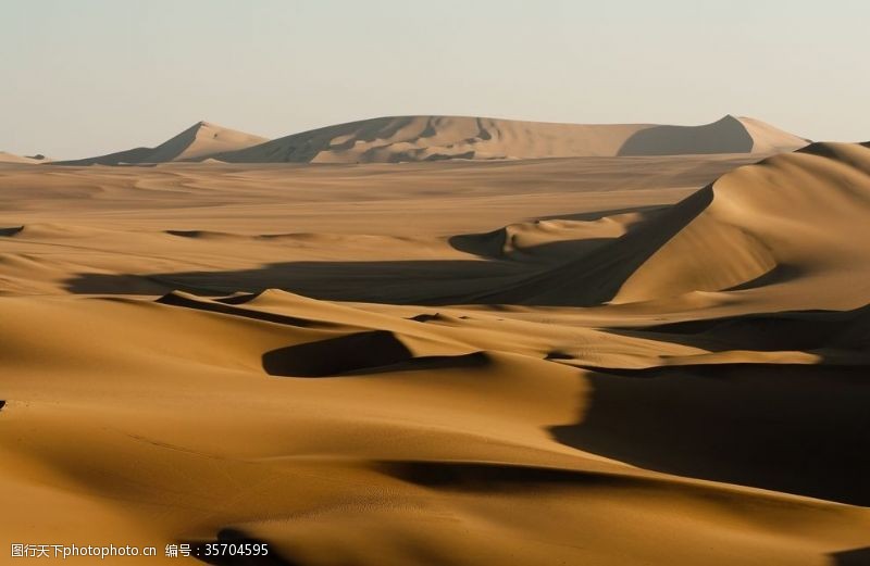 沙漠纹理沙漠