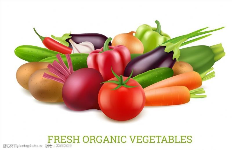 蔬菜超市展板蔬菜插画
