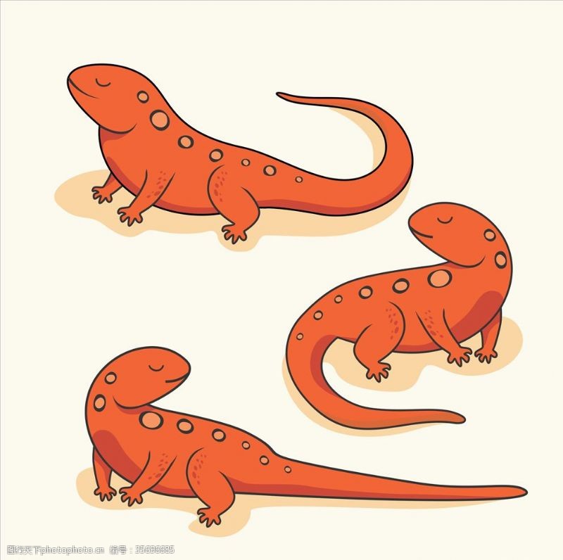爬行动物店蜥蜴插画