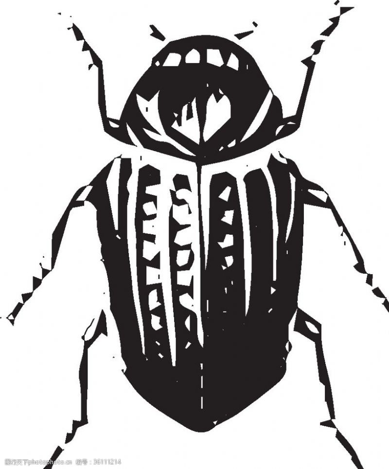 书虫矢量插图自然昆虫标本插画