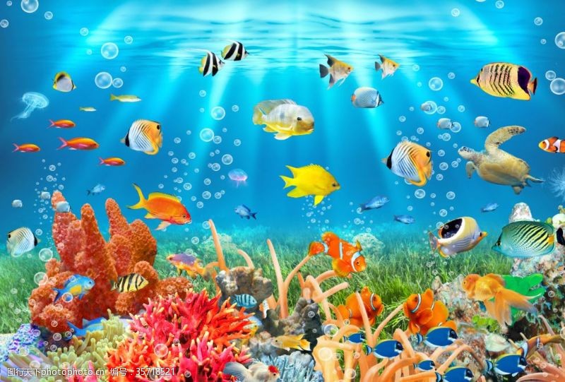 马尔代夫海景海底世界