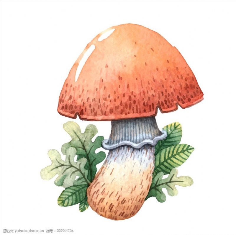 香菇特产卡通蘑菇