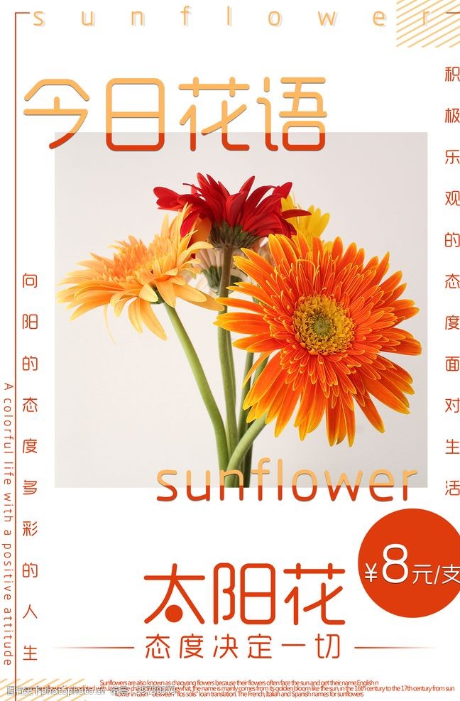 春季背景图片太阳花