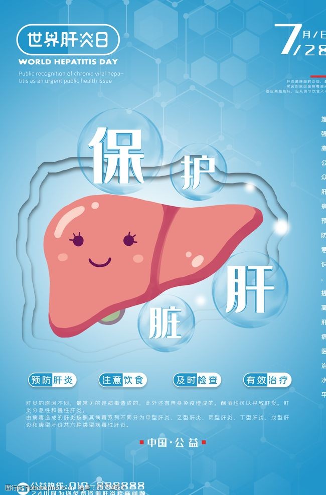 肝细胞保护肝脏