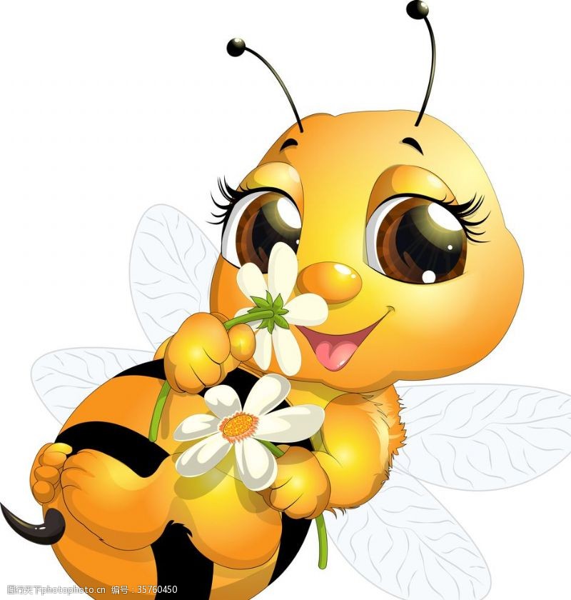 蜂蜜标签矢量小蜜蜂