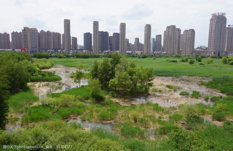 城市湿地都市中的绿洲