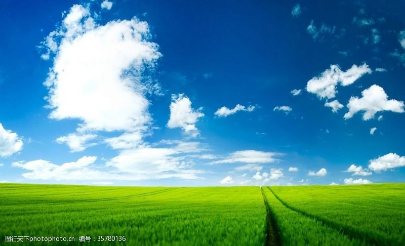 草坪蓝天白云
