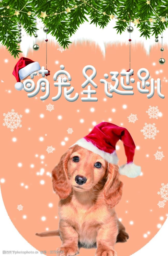 宠物店彩页宠物店圣诞