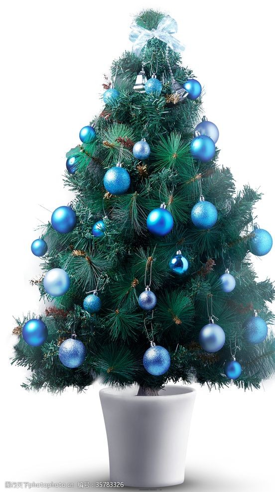 blue圣诞树
