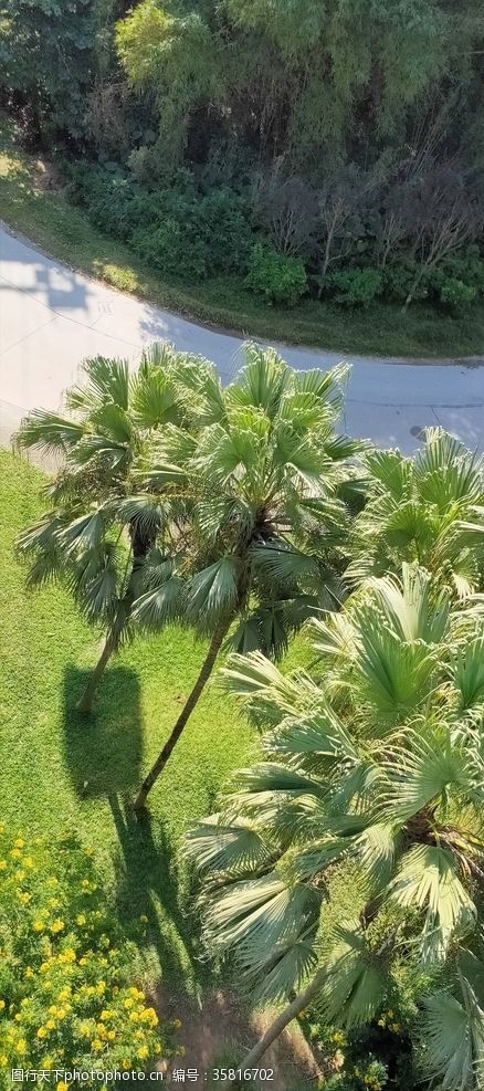 雨林动物园丛林鸟鸟类飞鸟