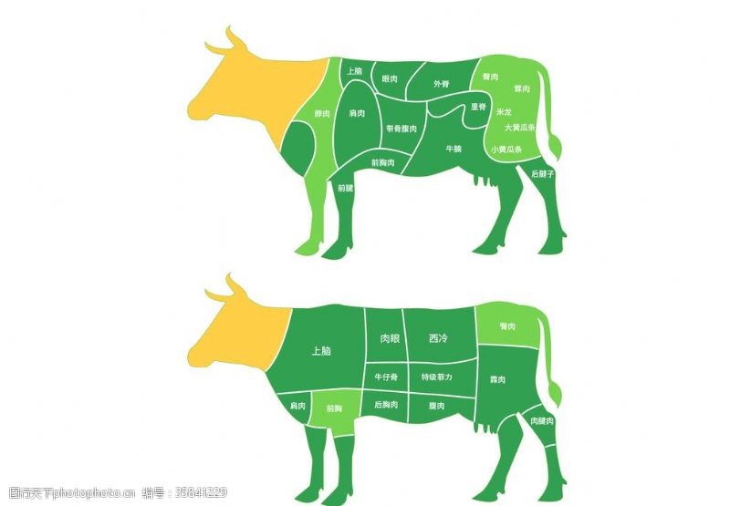 分割部位牛肉分割示意图