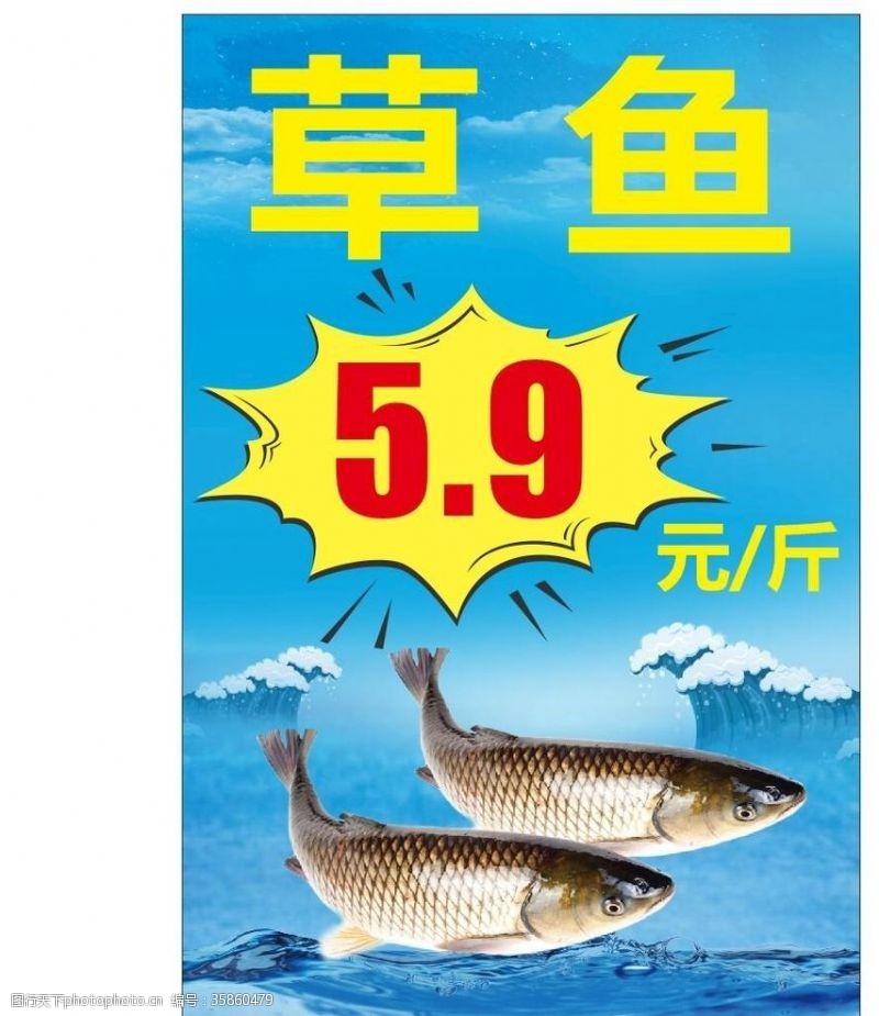 鱼类水产草鱼海报