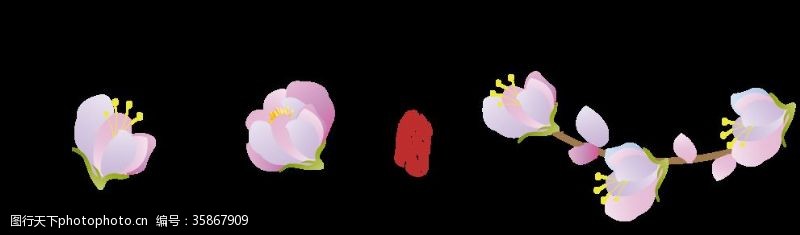 手绘樱花花卉集合粉色花朵分解图