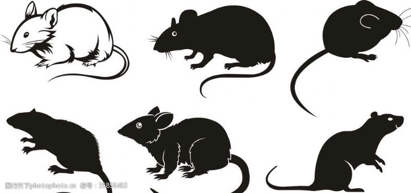 老鼠卡通形象老鼠
