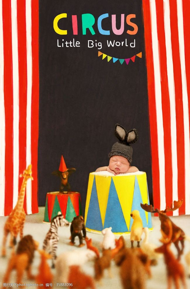 马年创意素材婴儿马戏团艺术照片
