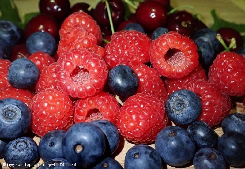 野生蓝莓野果