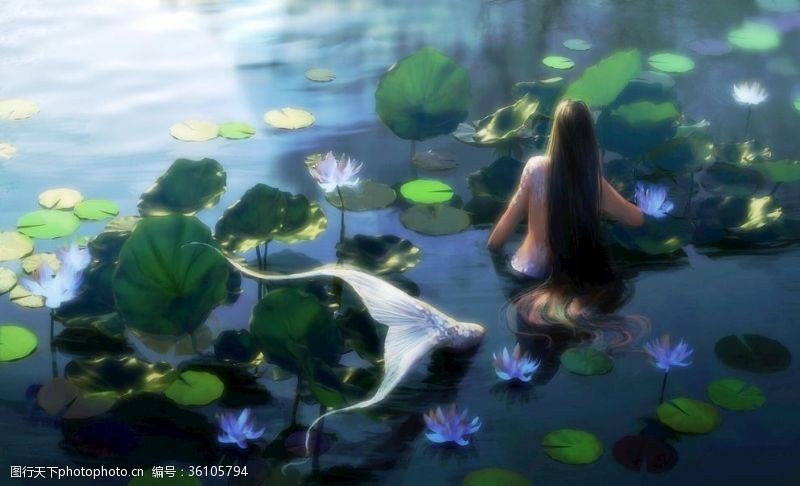 梦幻荷花池塘里的美人鱼形象同人手绘壁纸
