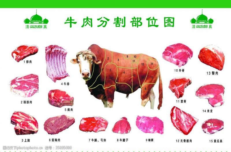 分割部位牛肉分割图