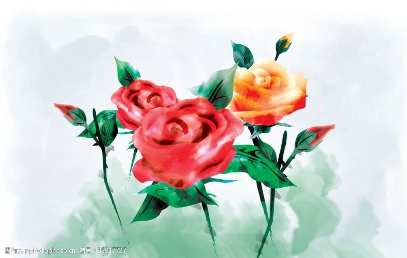 韩国花纹图库手绘玫瑰花