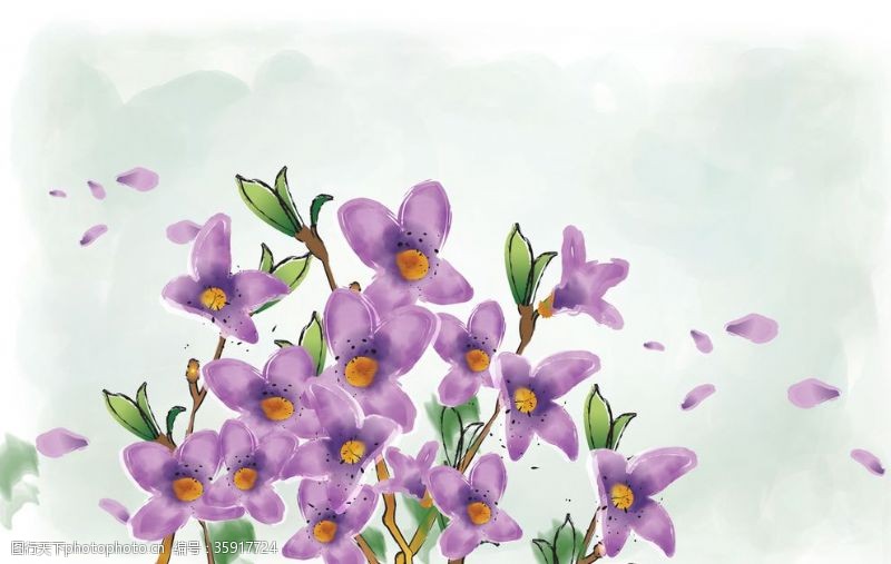 韩国花纹图库手绘鲜花