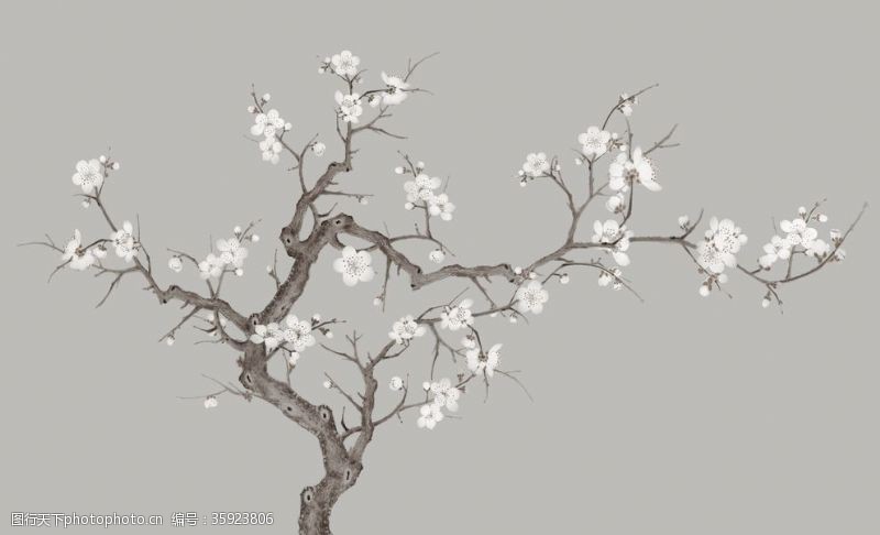 水上兰花背景图树