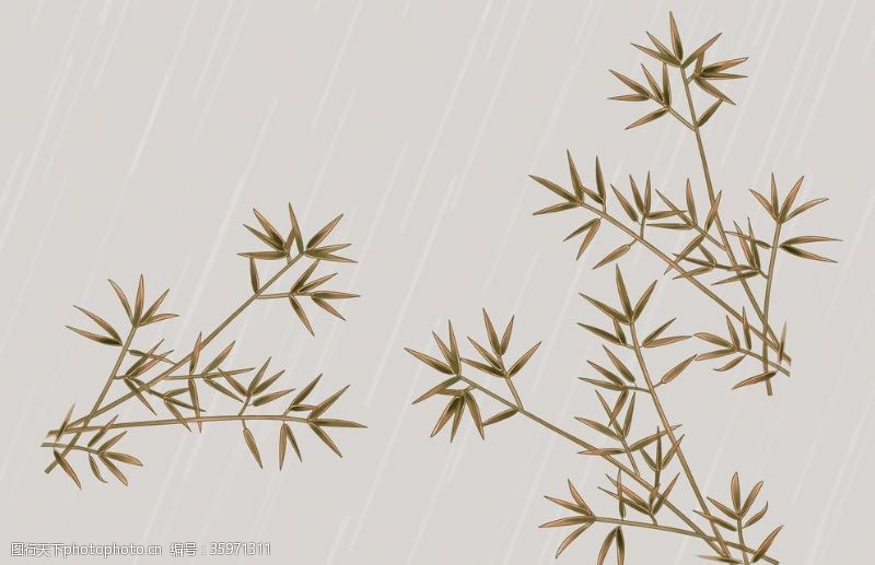 竹子树叶