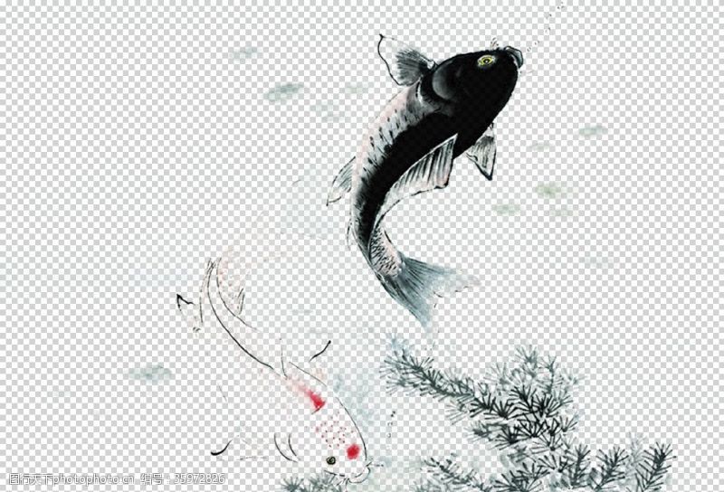 锦鲤背景黑鱼白鱼