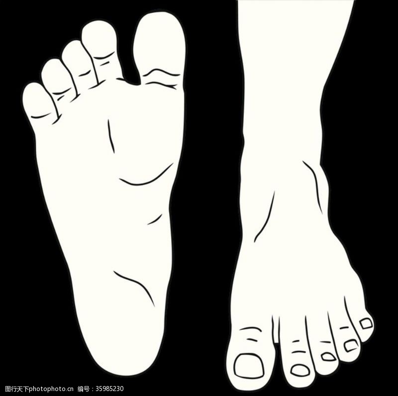 线描的脚脚趾头走路的脚掌