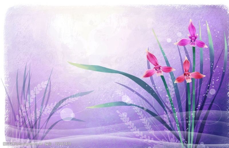 韩国花纹图库手绘花卉