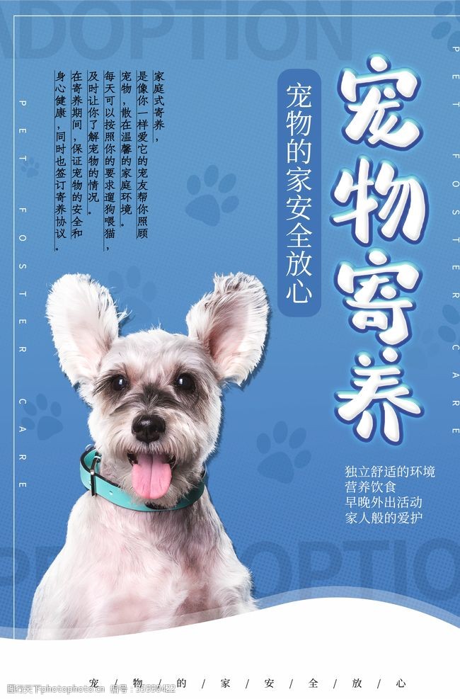 中国宠物网宠物寄养