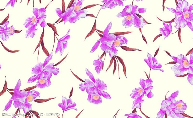 大牌图案紫色花杜鹃花