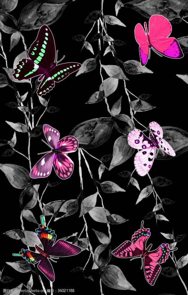 大牌图案蝴蝶在黑色植物上