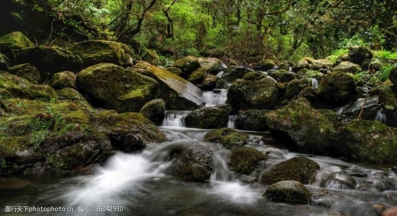 河道大自然风景